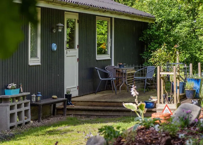 Dog-friendly Oasis With Peace And Nature